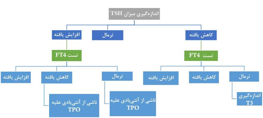 دانلود pdf بیوشیمی هورمون کمیاب و عالی