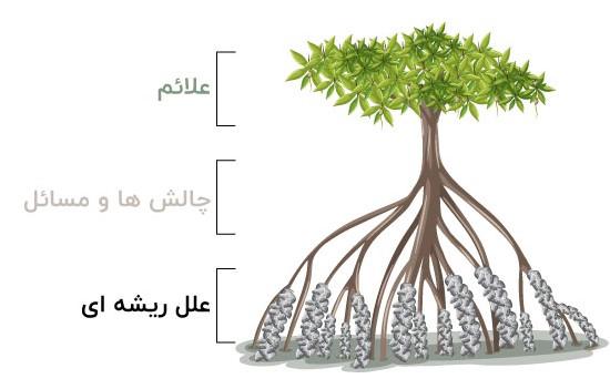 دانلود pdf تحلیل علل ریشه ای (RCA) کمیاب و عالی